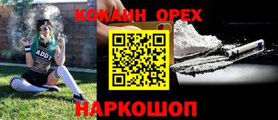 прущие грибы Гатчина