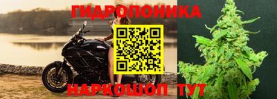 гашиш Гай