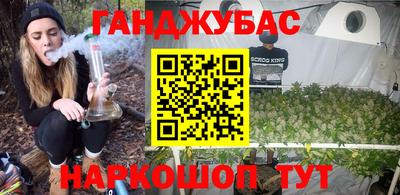 прущие грибы Гатчина
