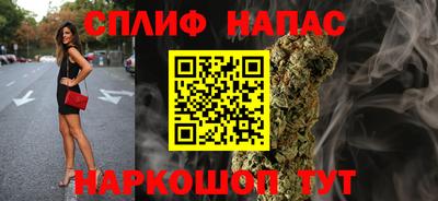 прущие грибы Гатчина
