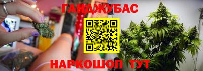 прущие грибы Гатчина