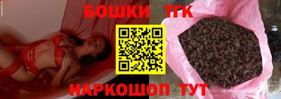прущие грибы Гатчина