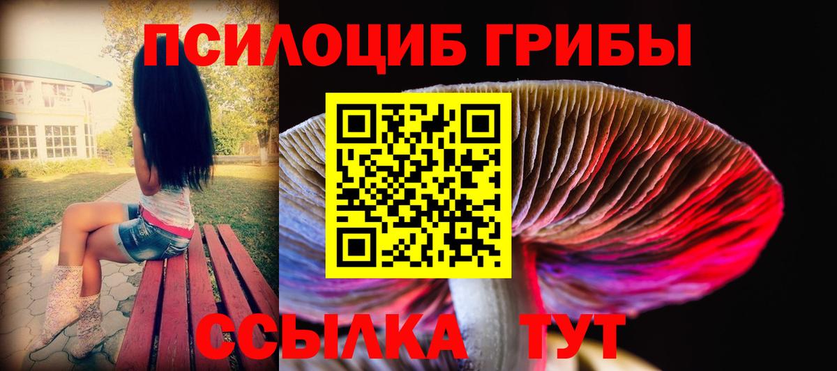 Галлюциногенные грибы MAGIC MUSHROOMS  Вход с VPN  Зеленодольск 